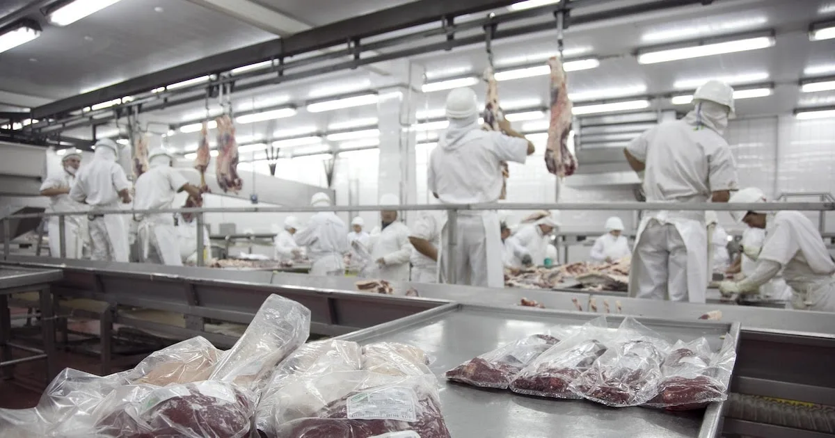 ARGENTINA: Se incrementó 54% la exportación de carne vacuna en el primer trimestre del año